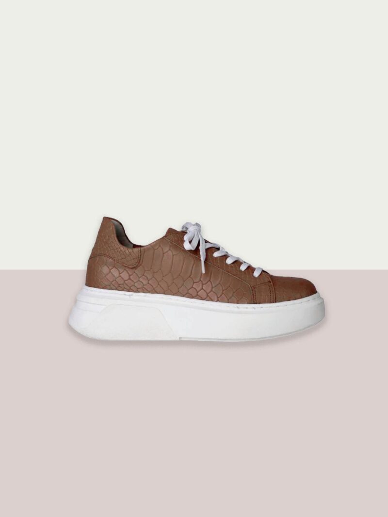 Melania sneakers tabac so chic shoes